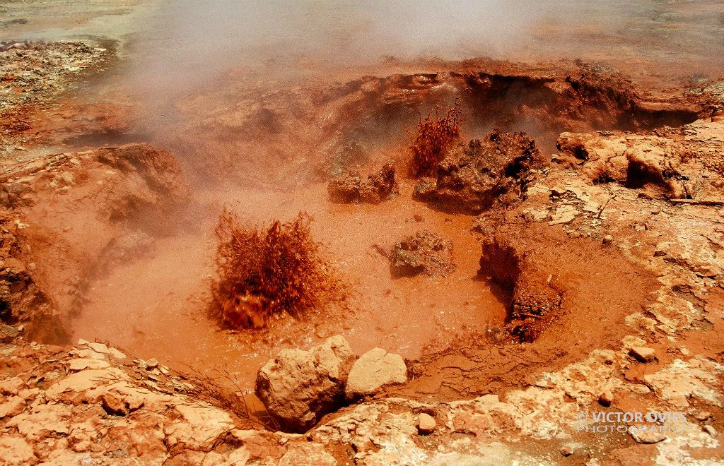 Hervideros de San Jacinto - Lodo Ardiente
